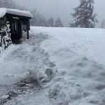 Larice * Pila (Valle d'Aosta)