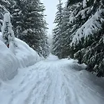 Larice * بيلا