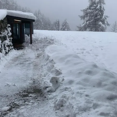 Larice * Pila (Valle d'Aosta)