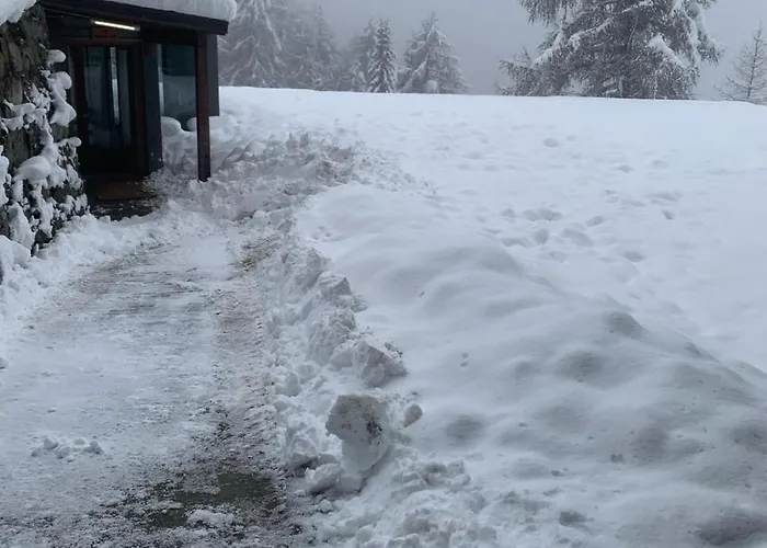 Larice * Pila (Valle d'Aosta)